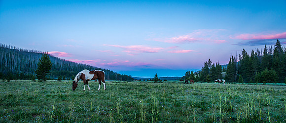 Layover meadows...
