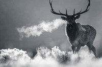 Smokin'