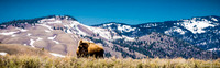 His Yellowstone